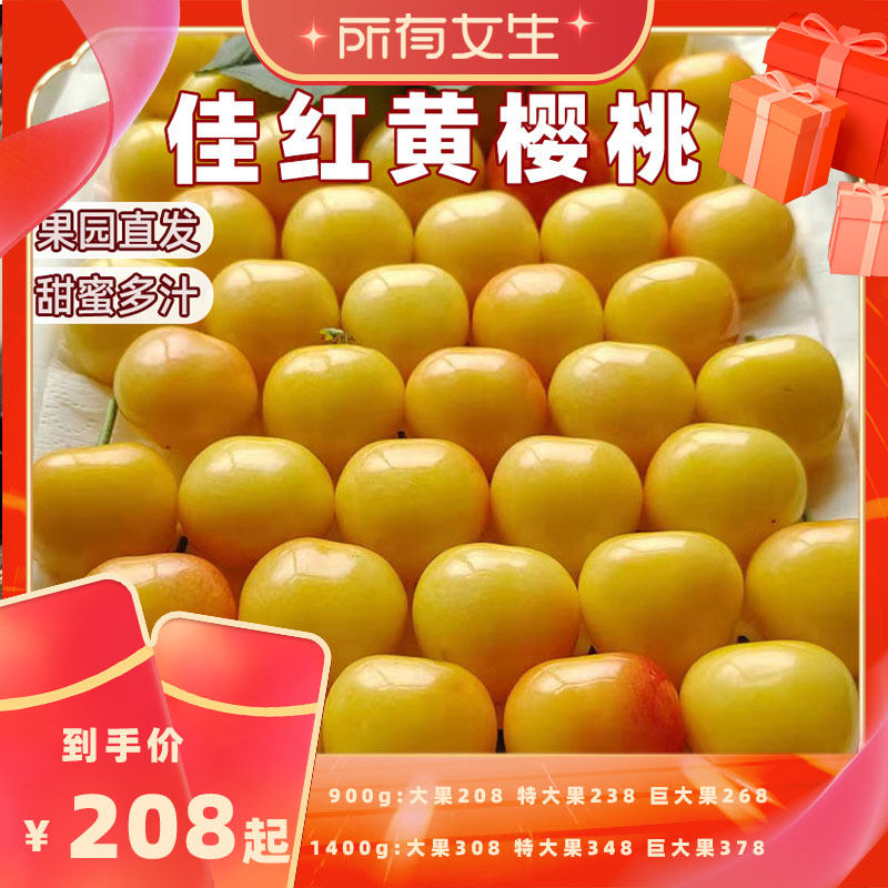 【所有女生直播间】佳红黄樱桃大连直发国产黄车应季新鲜水果现摘