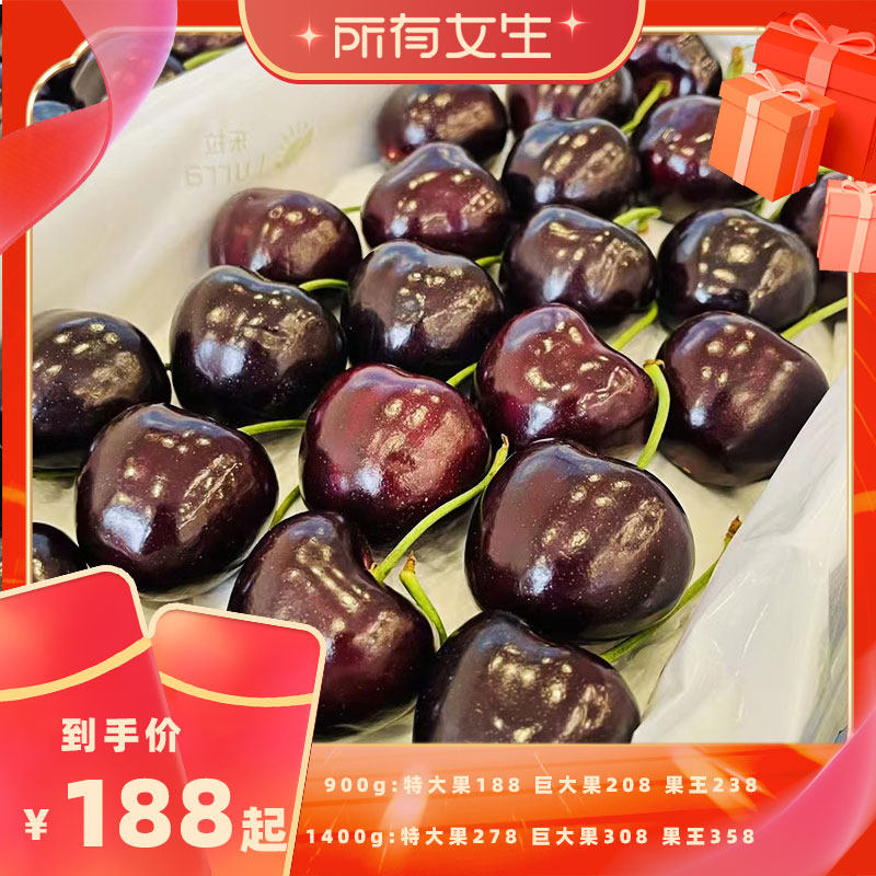 【所有女生直播间】俄罗斯八号大樱桃大连直发新鲜应季水果现摘