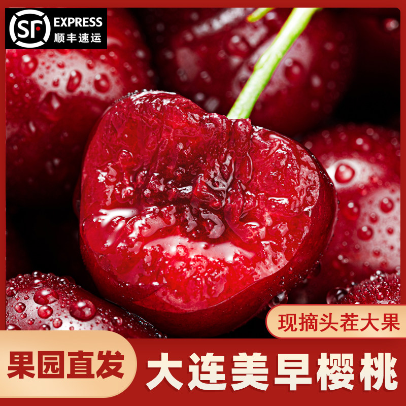 大连美早大樱桃现摘现发3j4j