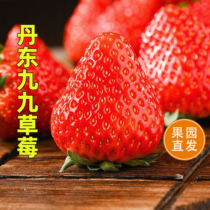 【产地直发】丹东99草莓红颜九九大草莓新鲜水果应季现摘草莓