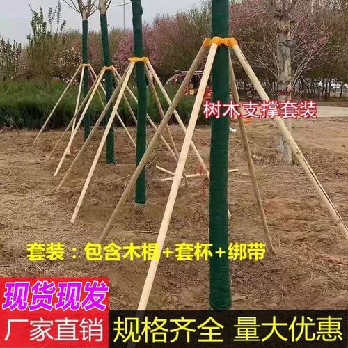 树木支撑架绿化支撑杆原木棍木架去皮松木大树防风防倒支架固定器