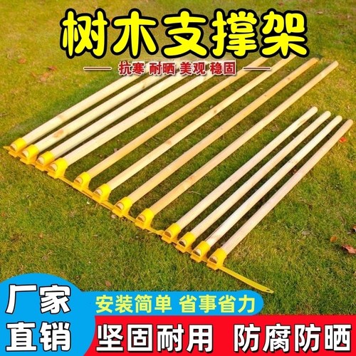 杨木支撑固定器杉木松木杨木棍稳定树木支撑架杆园林绿化防风防倒