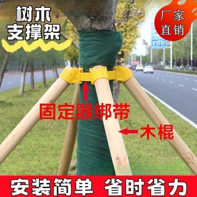 树木支撑固定器杉木松木杨木棍稳定支架园林绿化防风工程支撑架杆