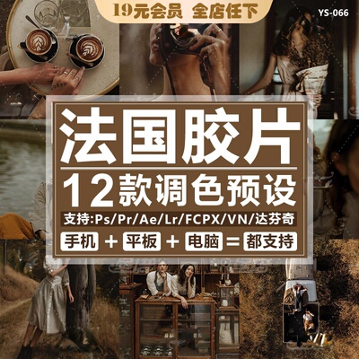 lightroom预设电影中的法国胶片复古PR FCPX达芬奇LUT手机版LR PS