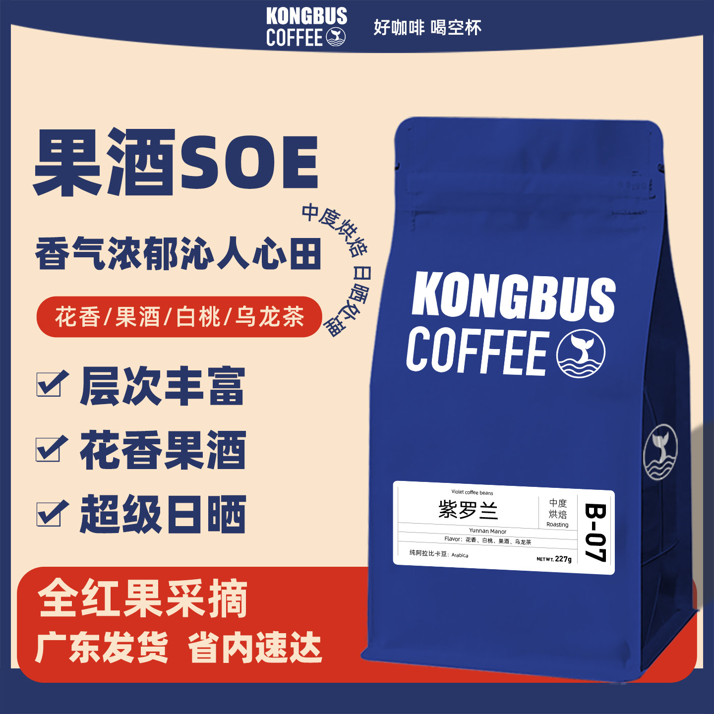 空杯巴士紫罗兰厌氧日晒意式