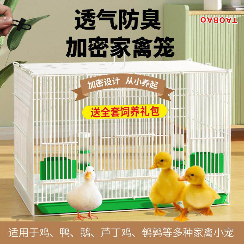 养小鸡鸭子的笼子自动清理粪便宠物柯尔鸭芦丁鸡家用大号加密鸭笼