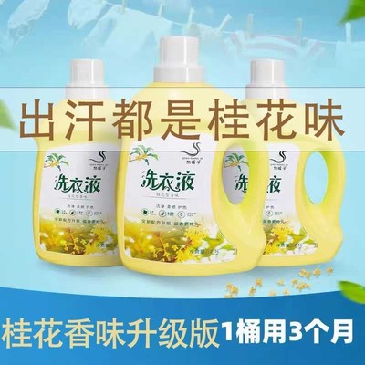 【新升级版】桂花洗衣液持久留香72小时官方正品大容量男士洗衣粉