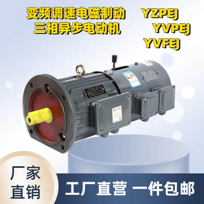 YZP/YVP/YVFEJ变频调速电磁制动三相异步电动机0.75千瓦立式90KW