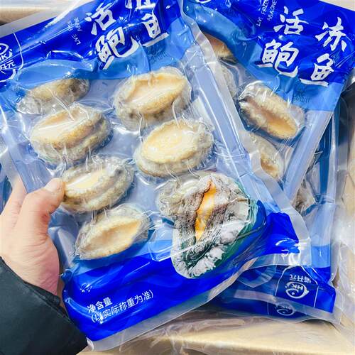 海开元活冻八头鲍鱼10包/箱 冷冻生制新鲜高品福建鲍海鲜水产商用