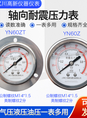 YN60ZT 0.6/1/1.6/2.5/4/6/10/16/25/40/60MPA轴向带边耐震压力表