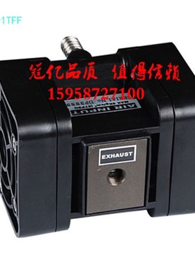 天那水泵 酒精泵 气动汽油泵 气动隔膜泵 输送泵GYP-1TFF