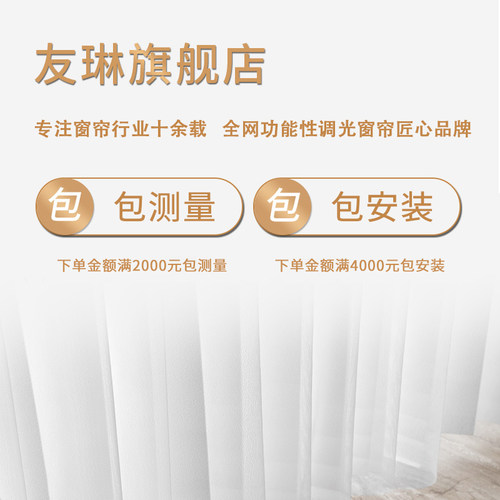 手电动梦幻帘客厅阳台窗帘遮光竖百叶透光不透人纱帘落地窗垂直帘