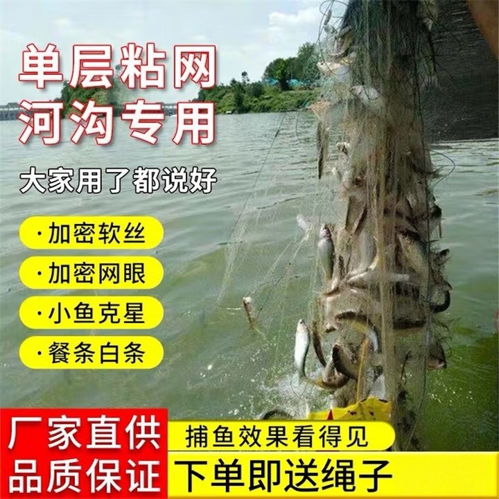 单层浮网三层沉网加重渔网粘网丝网挂子鱼网捕鱼网鲫鱼鲢鱼白条网
