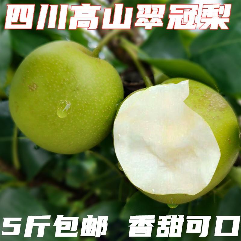四川梨子价格 四川梨子图片 星期三 四川梨子价格 四川梨子图片 星期三