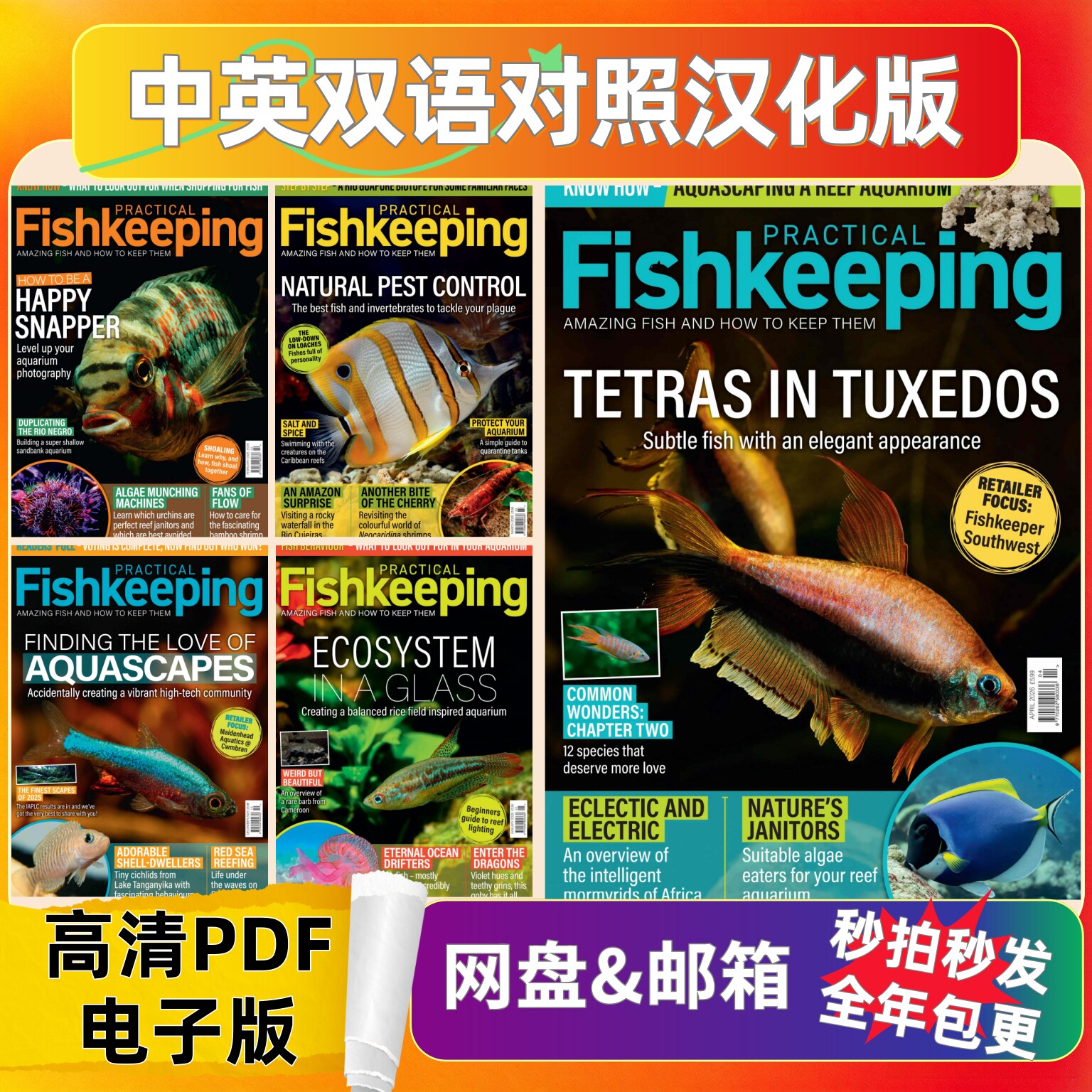Practical Fishkeeping 汉化电子参考资料 观赏鱼造景饲养图鉴