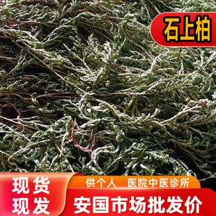 安国中药材市场 石上柏 地侧柏梭罗草地梭罗金龙草深绿卷柏1000克
