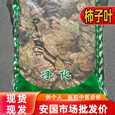 安国中药材市场 柿子叶茶 柿叶霜后柿子树叶新鲜干货1000克正品