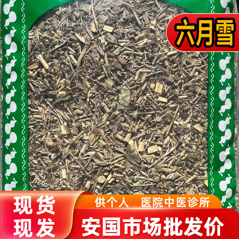 安国中药材市场 发正品六月雪 白马骨满天星干货六月雪草药1000克