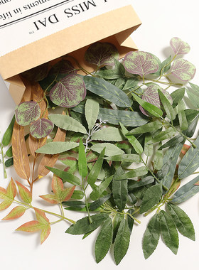 植物家居户外竹叶户外diy手工