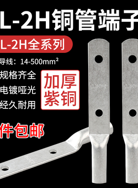 CL22-2H-12双孔铜管端子两孔铜线鼻多孔铜端头铜线耳25平方铜接头