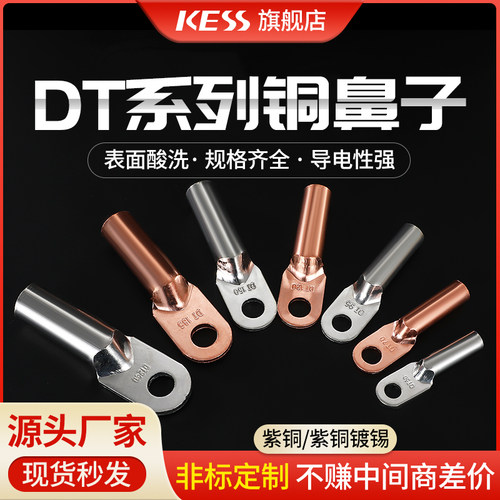 DT系列铜鼻子紫铜镀锡