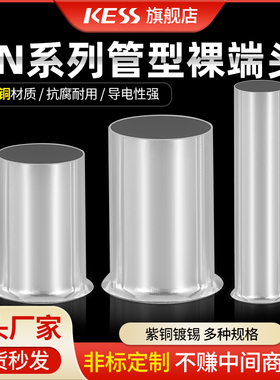 EN0508/1508/2508管型裸端头冷压接线端子紫铜镀银管铜鼻子