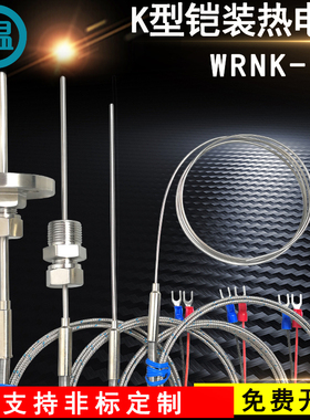 K型热电偶电热偶WRNK-191铠装温度传感器可弯曲探头Pt100/E/J/T