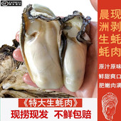 汕尾晨洲鲜活生蚝现剥生蚝肉牡蛎肉去壳纯肉特大海鲜水产刺身海味
