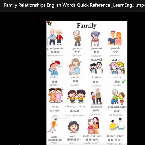 看图片学英语单词启蒙英语零基础英语在线英语视频课87