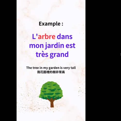 零基础法语学习法语单词词汇在线法语学习频课388
