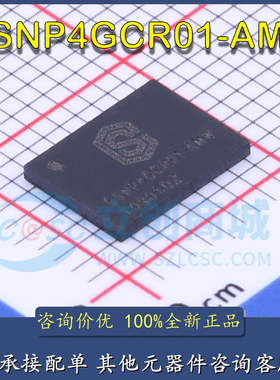 全新原装 CSNP4GCR01-DPW  CS创世  LGA-8 存储器IC芯片 现货