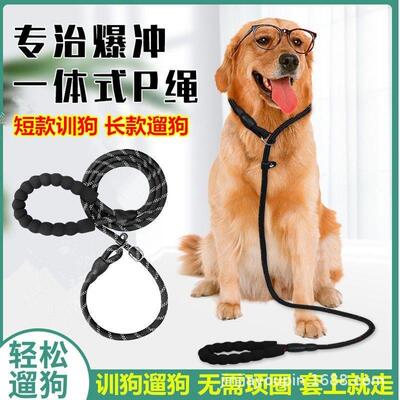 狗狗牵引绳p链可伸缩遛狗小型中大型犬狗绳子宠物用品狗链子反光