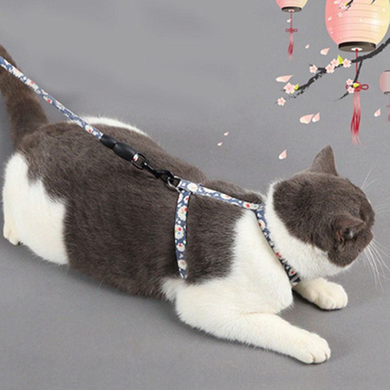 精致猫绳，舒适贴服，时尚潮款