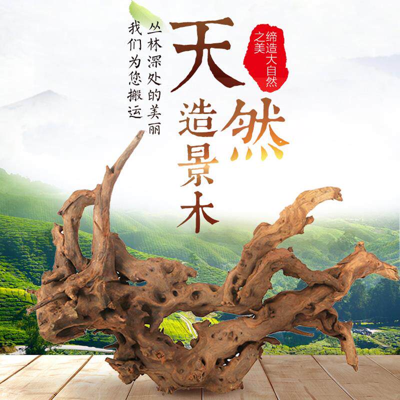 鱼缸造景沉木水草天然装饰树根大造景/装饰