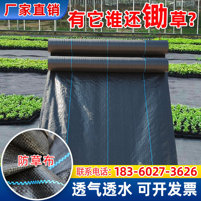 防草布除草布农用果园优质盖草遮草布园艺地布抗老化果树切片地钉