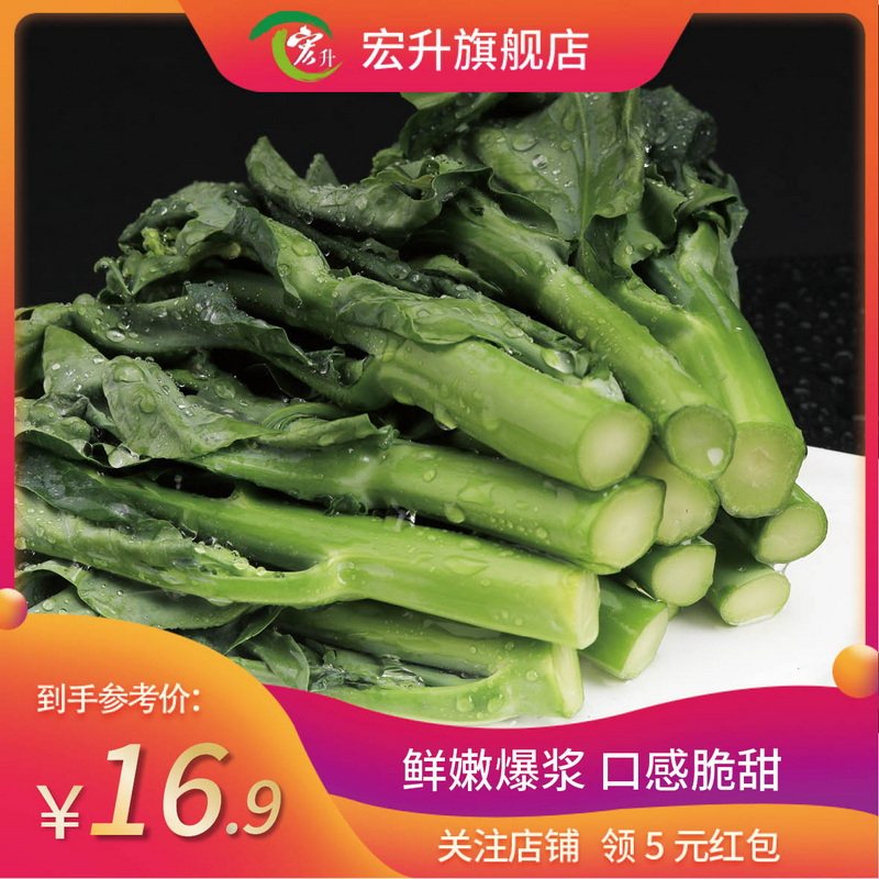 宏升 潮汕新鲜芥蓝菜农家现摘芥兰菜 芥蓝菜心小芥兰广东蔬菜包邮