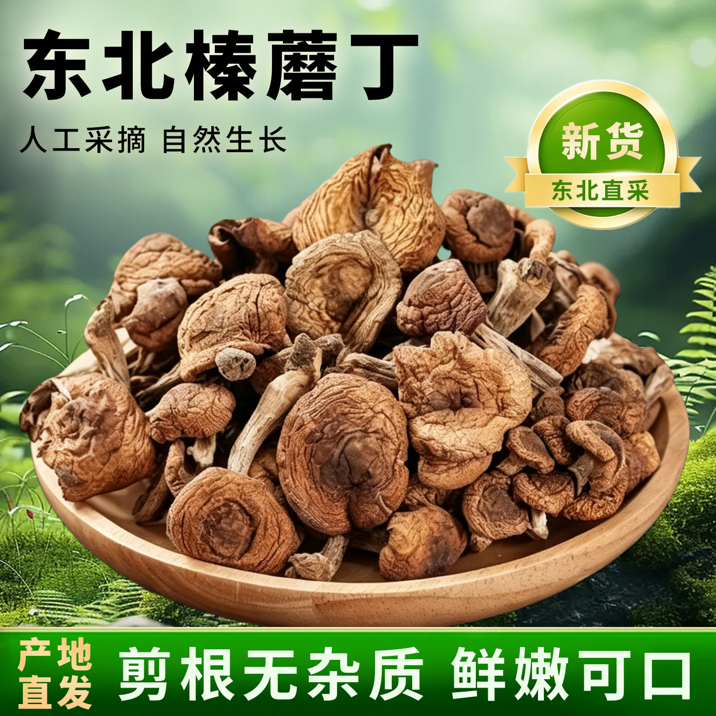 长白山特产野生榛蘑丁