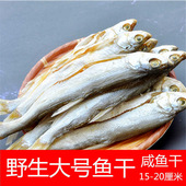 500g河鱼餐鱼干咸鱼大别山翘嘴刁子鱼大号天然白鱼干晒盐干货250g