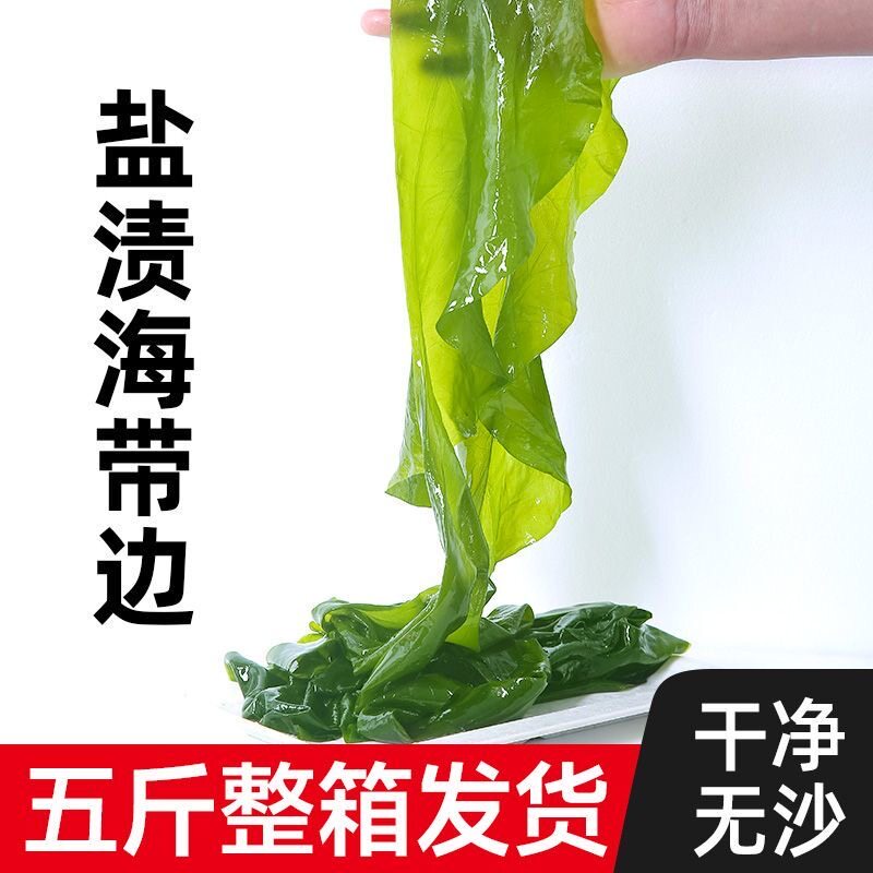 海带边子盐渍商用大连