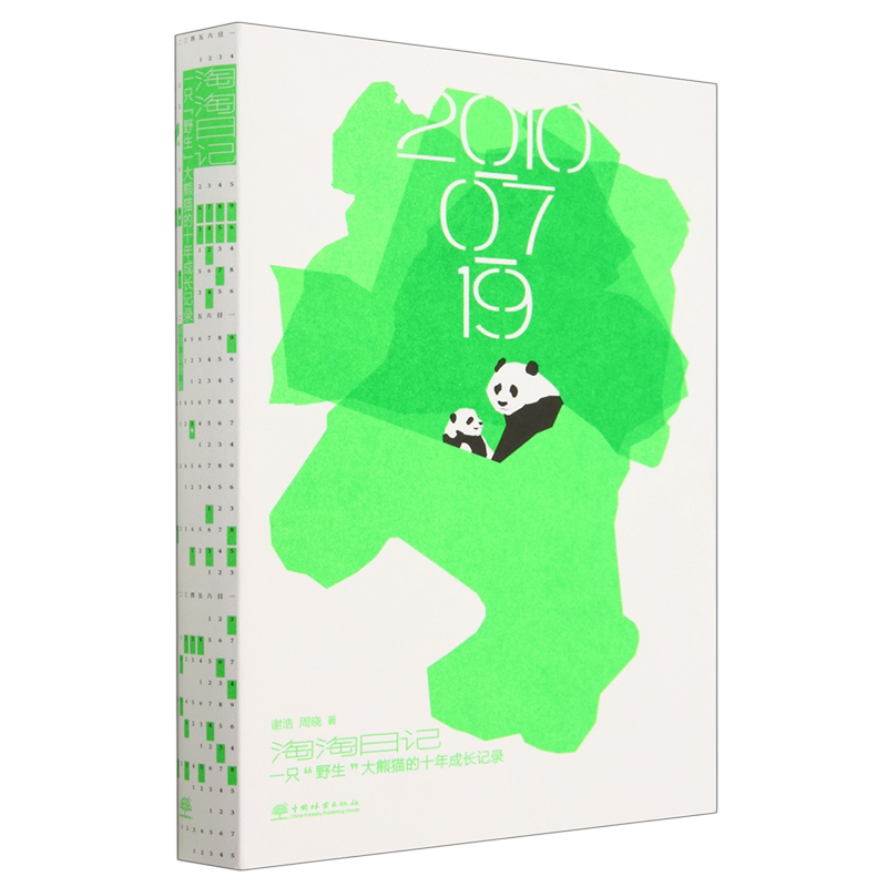 观察陪伴大熊猫野外生活 淘淘野化放归过程