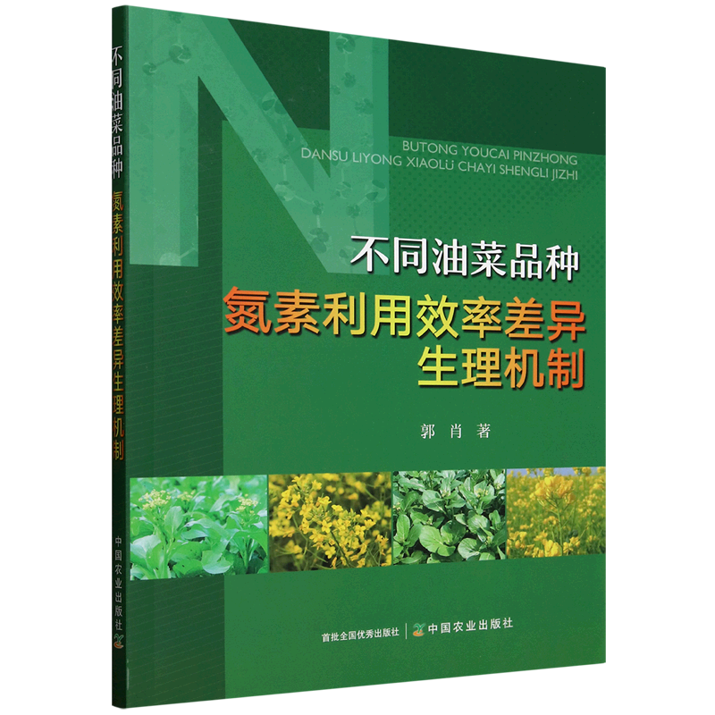 不同油菜品种氮素利用效率差异生理机制