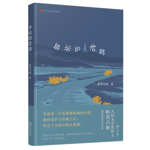 命运 岔路
