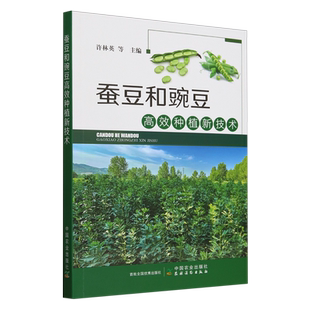 蚕豆和豌豆高效种植新技术