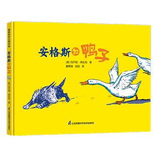 安格斯和鸭子 精