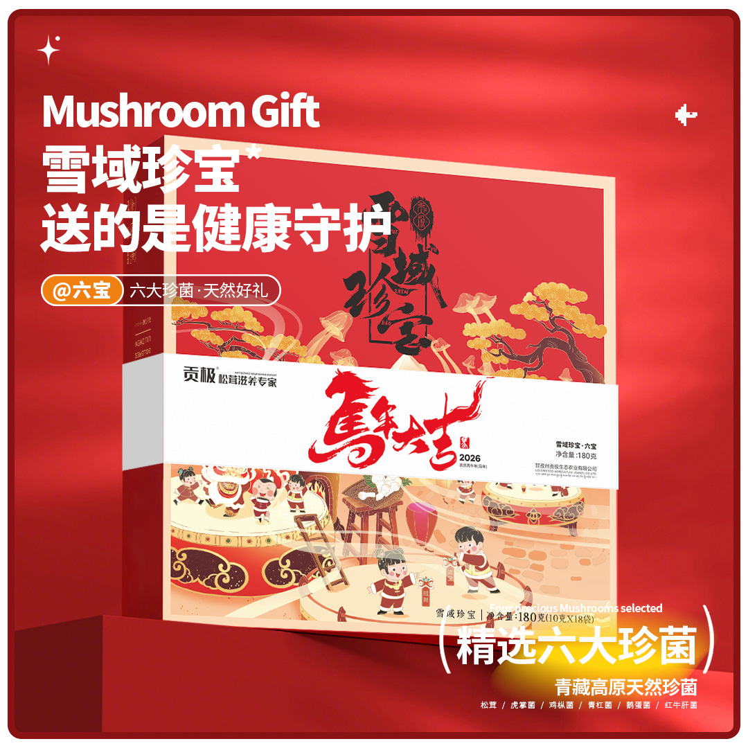 贡极六宝松茸菌菇类年货节礼盒鸡枞菌山珍干货营养品送礼长辈佳品