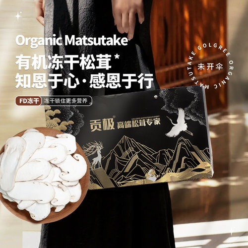 贡极冻干松茸菌菇送礼佳品礼盒装