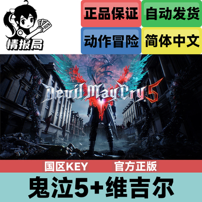 Steam游戏鬼泣5国区激活码key