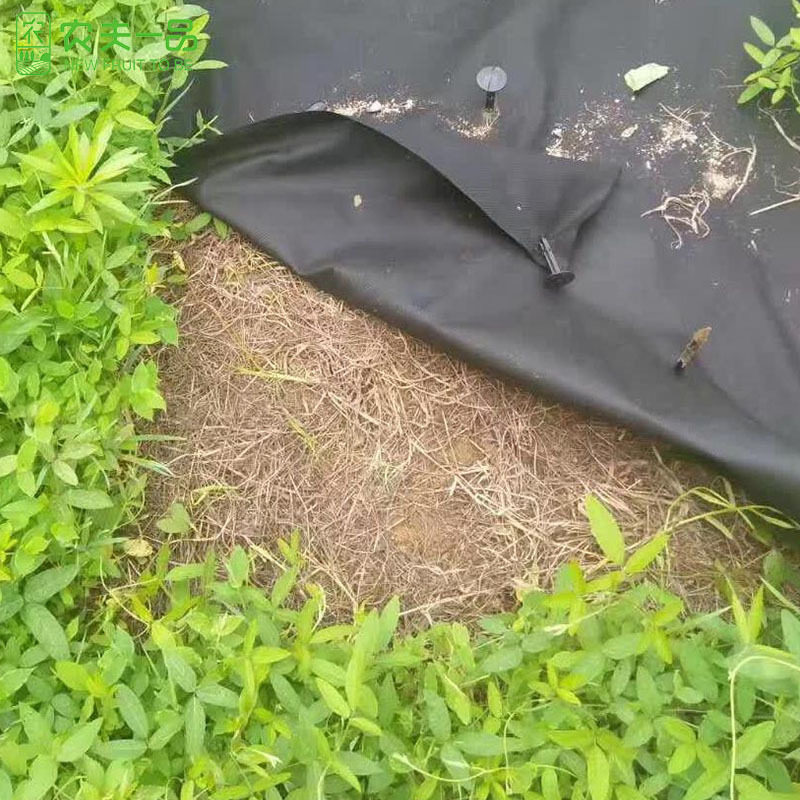 农夫一品果园黑地膜农用透气新型防草布保肥保温防杂草除草膜