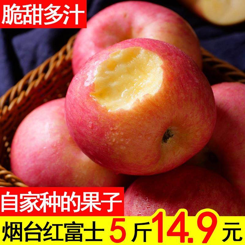 助农烟台苹果栖霞红富士时令新鲜水果正宗山东平果整箱5斤10脆甜|msdalam kategori daging perikanan/Buah-buahan segar dan sayur-sayuran/dimasak, buah-buahan segar, Apple - dari Buy2taobao.com untuk memberikan perkhidmatan ejen Taobao profesional membeli