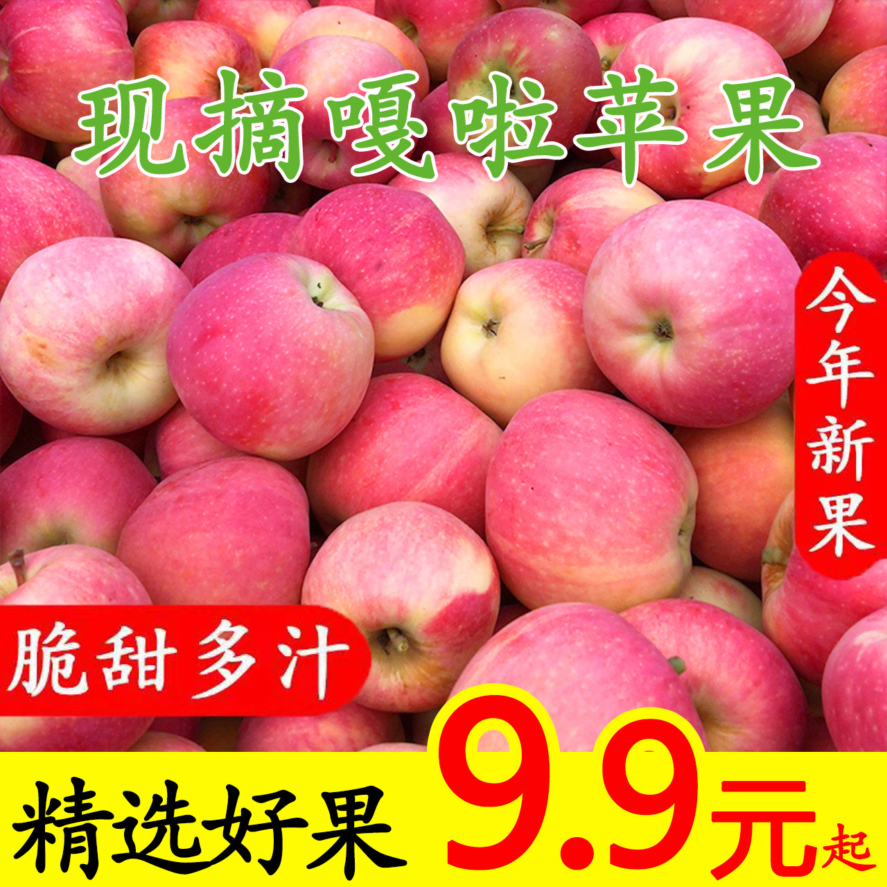 现摘嘎啦苹果水果新鲜正应季整箱10青红小苹果加力果脆甜萍平果|msdalam kategori daging perikanan/Buah-buahan segar dan sayur-sayuran/dimasak, buah-buahan segar, Apple - dari Buy2taobao.com untuk memberikan perkhidmatan ejen Taobao profesional membeli